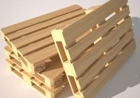 6 Bước Sử Dụng Và Bảo Quản Pallet Gỗ Đúng Cách
