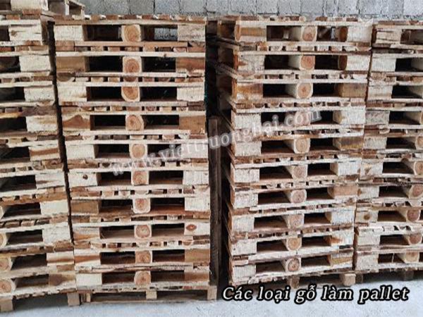 Các loại gỗ làm pallet Các loại gỗ làm pallet