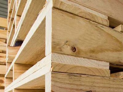 Các Biện Pháp Hạn Chế Nấm Mốc