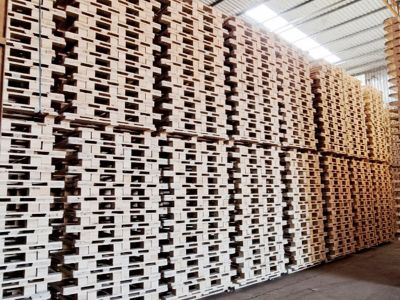 Cập nhật giá pallet gỗ giá rẻ cạnh tranh nhất 2024
