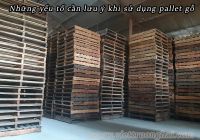 Những yếu tố cần lưu ý khi sử dụng pallet gỗ