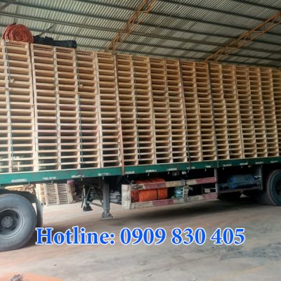 Pallet gỗ thông 04