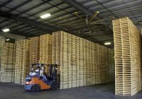 Vai trò của pallet là gì và có bao nhiêu loại pallet trên thị trường hiện nay