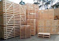 Việt Trường Hải - Nhà phân phối và sản xuất pallet gỗ lớn nhất tại Việt Nam