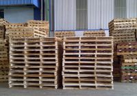 Bao lâu nên khử trùng pallet gỗ một lần