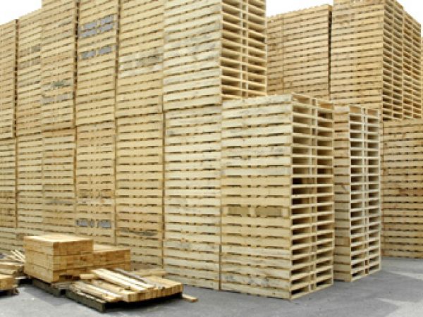 Pallet Gỗ Đững Đầu Trong Thị Trường Pallet Hiện Nay