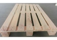 Pallet gỗ nên dùng loại gỗ gì?