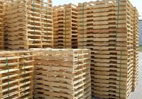 Khi Nào Cần Phải Sấy Pallet Gỗ?