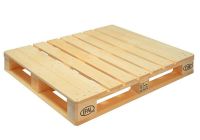 Nguyên nhân khiến Pallet gỗ hay bị mối mọt tấn công và cách khắc phục