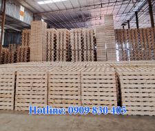 Pallet gỗ thông 20 Pallet gỗ thông 20