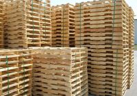 Tại sao nên khử trùng pallet gỗ