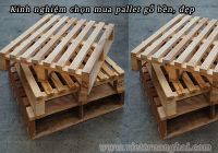 Kinh nghiệm chọn mua pallet gỗ bền, đẹp