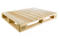 Gỗ pallet là gì? Ứng dụng và quy trình sản xuất