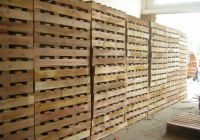 Cuộc chiến giữa pallet gỗ và pallet nhựa