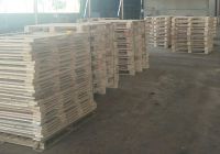 Tính chất của gỗ thông làm Pallet