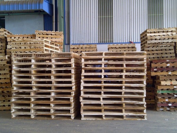 Bao lâu nên khử trùng pallet gỗ một lần Bao lâu nên khử trùng pallet gỗ một lần