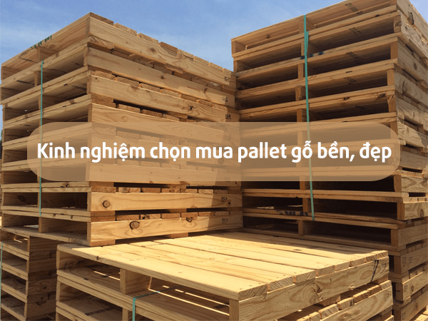 Kinh nghiệm chọn mua pallet gỗ bền, đẹp Kinh nghiệm chọn mua pallet gỗ bền, đẹp