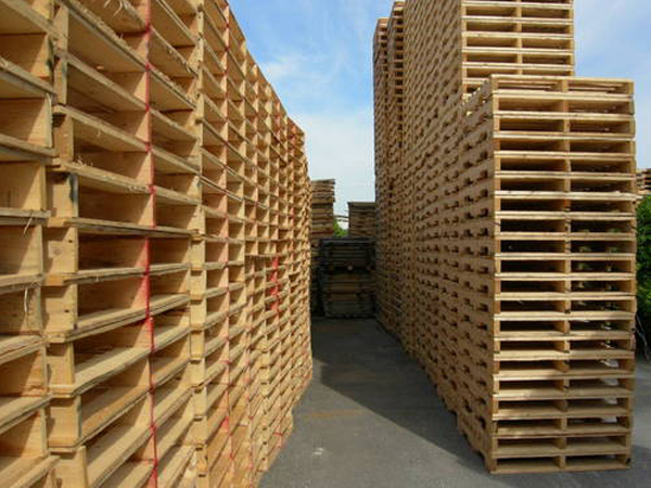 Lựa Chọn Pallet Gỗ Tốt Đúng Cách Lựa Chọn Pallet Gỗ Tốt Đúng Cách