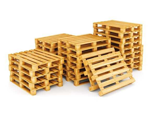 Một số biện pháp phòng chống nấm mốc trên pallet gỗ Một số biện pháp phòng chống nấm mốc trên pallet gỗ