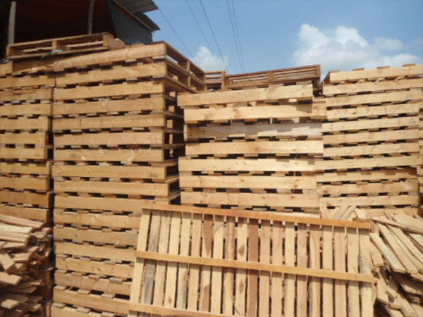 Những Loại Gỗ Thường Được Dùng Làm Pallet Tại Việt Nam Những Loại Gỗ Thường Được Dùng Làm Pallet Tại Việt Nam