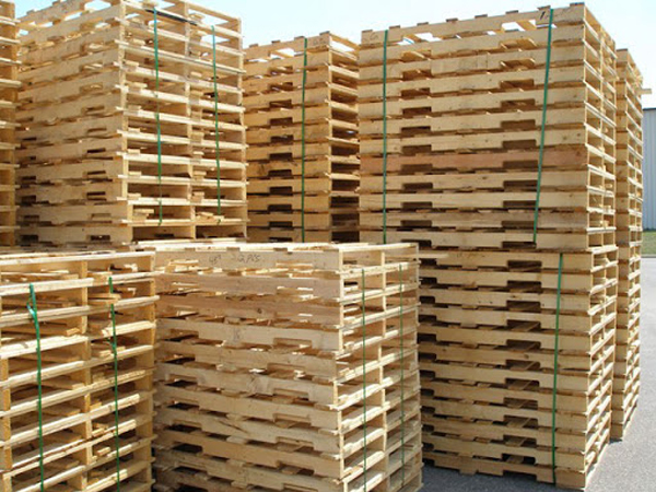 Tại sao nên khử trùng pallet gỗ Tại sao nên khử trùng pallet gỗ