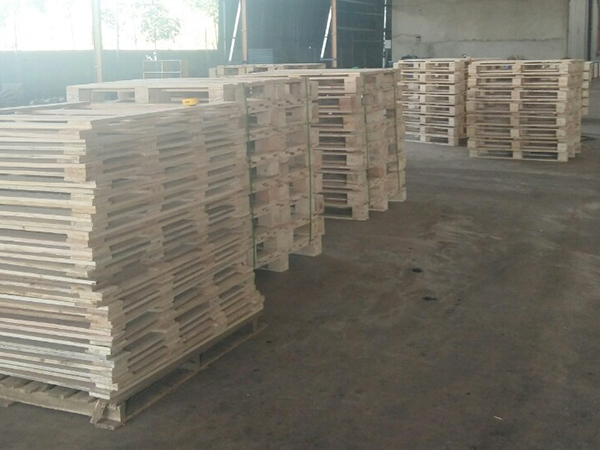 Tính chất của gỗ thông làm Pallet Tính chất của gỗ thông làm Pallet