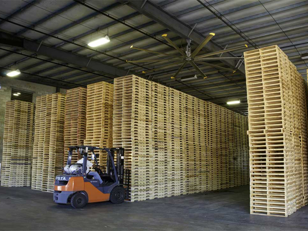 Vai trò của pallet là gì và có bao nhiêu loại pallet trên thị trường hiện nay Vai trò của pallet là gì và có bao nhiêu loại pallet trên thị trường hiện nay